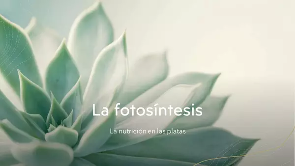 PowerPoint "La fotosíntesis"