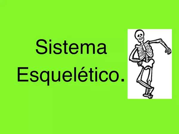 Esqueleto