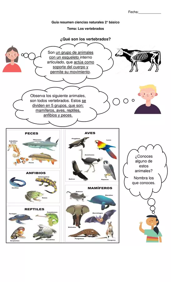"Guía resumen animales vertebrados"