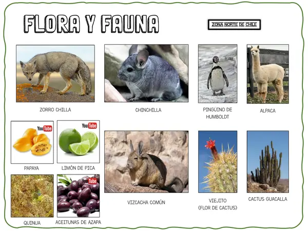 Zona Norte de Chile. Recurso de apoyo visual.