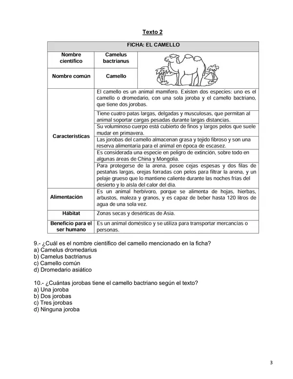 Evaluación textos informativos, comprensión lectora y modelo RIC - 5° Básico