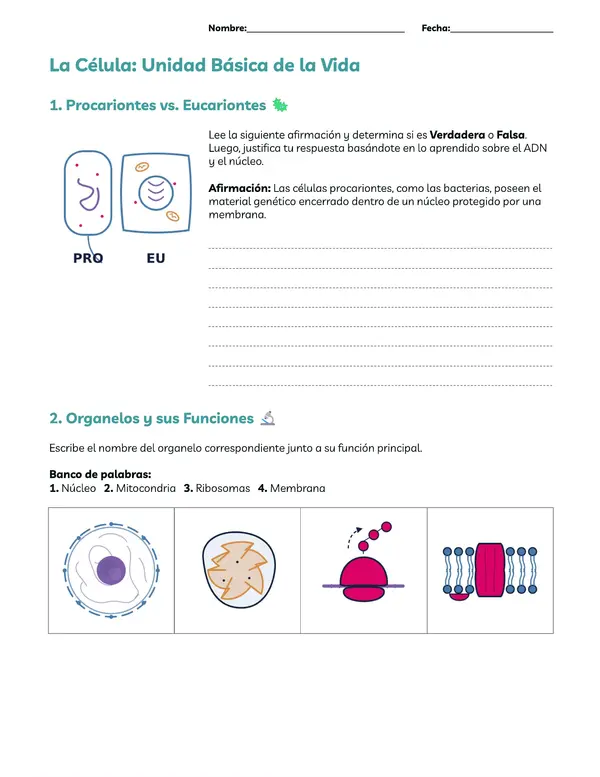 La célula (Evaluación)