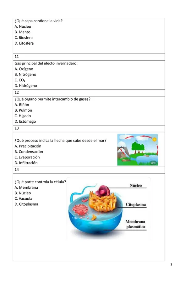 ENSAYO  N2  CIENCIAS NATURALES  2026