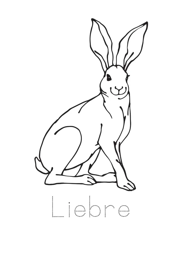 Animales sudamericanos para colorear 