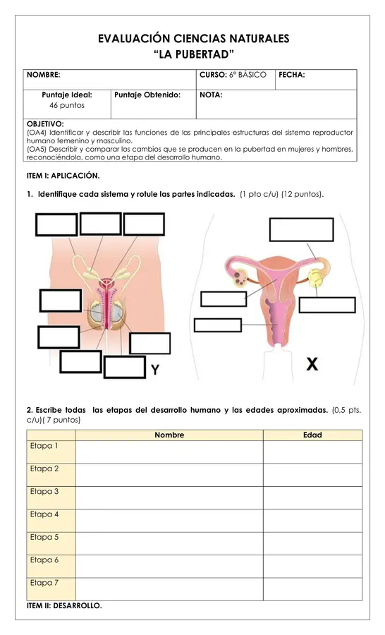 Prueba - Pubertad 