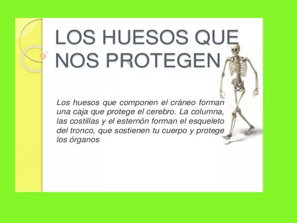 Esqueleto