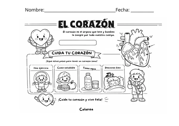 Contenido del Corazón Ciencias Naturales segundo básico