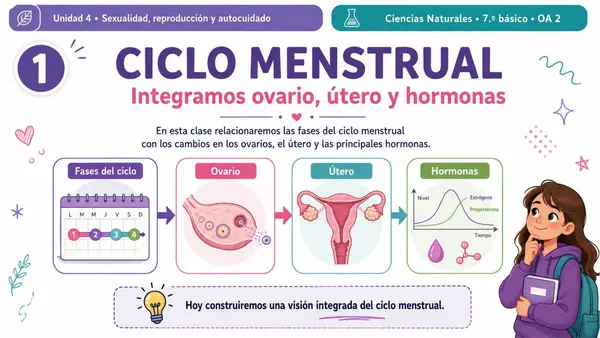 7MO OA 2 - CICLO MENSTRUAL Y HORMONAS