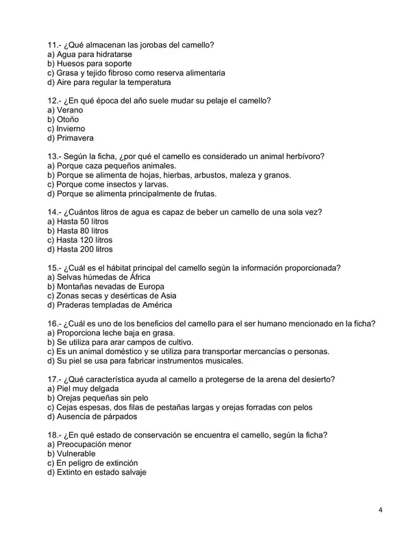 Evaluación textos informativos, comprensión lectora y modelo RIC - 5° Básico