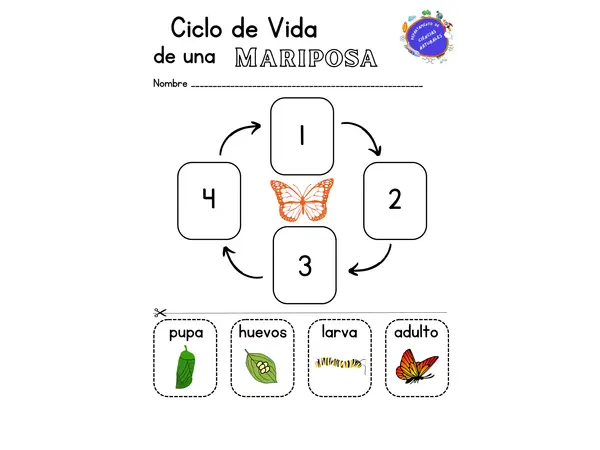 ciclo de vida mariposa y perro