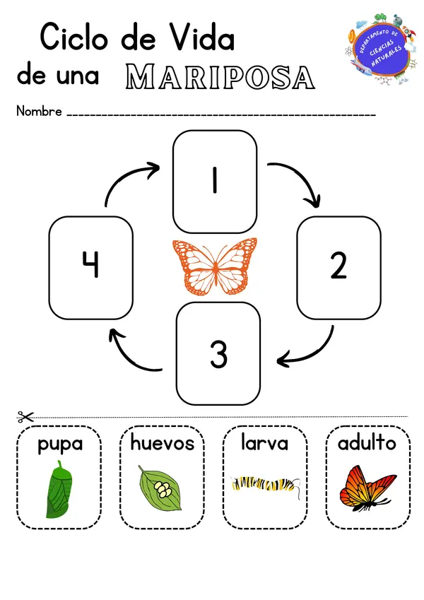 ciclo de vida mariposa y perro