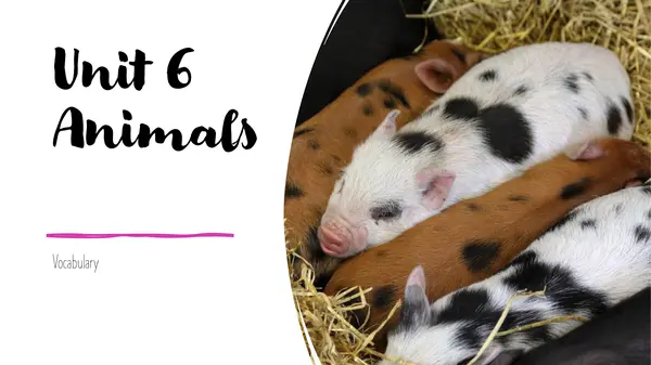 Animals