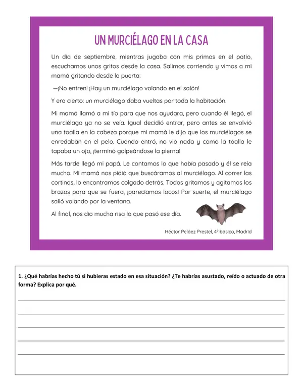 Comprensión lectora: Anécdota - Un murciélago en la casa