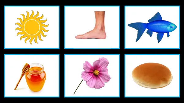 PPT para trabajar memoria visual y auditiva