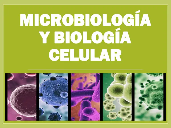 PPT - Microbiología