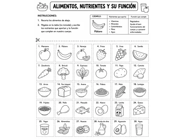Actividad nutrientes