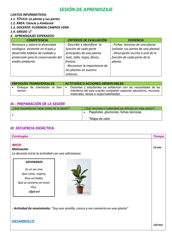 Sesión "Las plantas y sus partes" Primaria