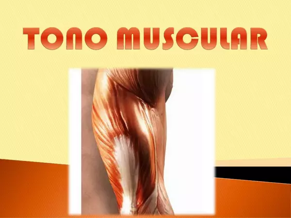 Ppt - Tono muscular
