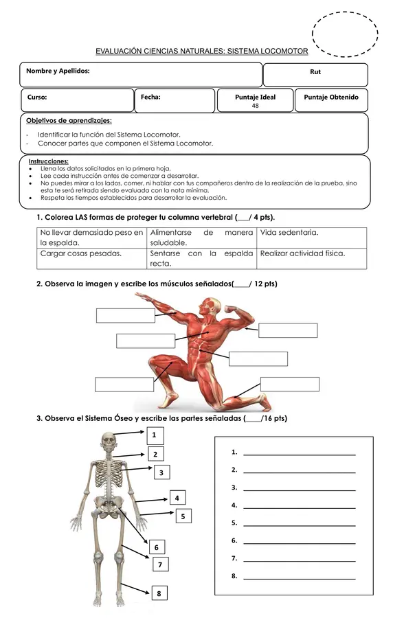 Evaluación Sistema Locomotor
