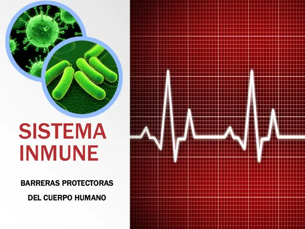 PPT - El sistema inmune 