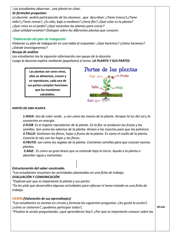 Sesión "Las plantas y sus partes" Primaria