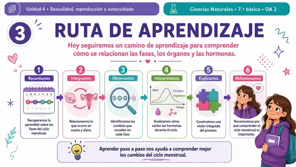 7MO OA 2 - CICLO MENSTRUAL Y HORMONAS