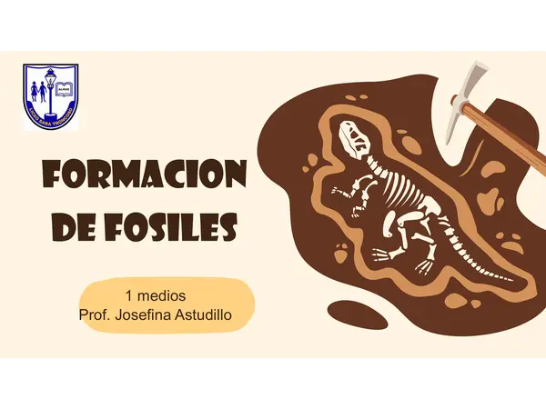 TIPOS DE FOSILES