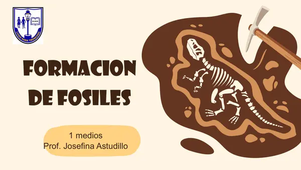 TIPOS DE FOSILES