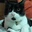 Araceli Mendez - @araceli.mendez