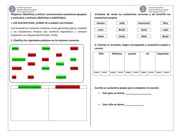 Genero y número 2º básico Lenguaje