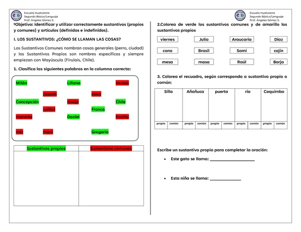 Genero y número 2º básico Lenguaje