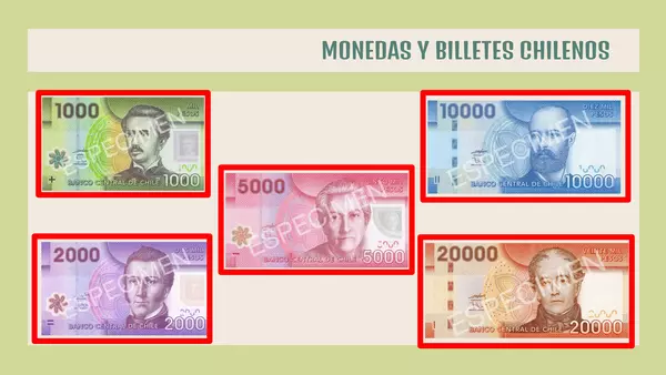El sistema monetario chileno