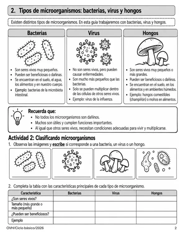 Guía Ciencias Naturales 5° Básico | Microorganismos, Bacterias, Virus, Hongos e Higiene