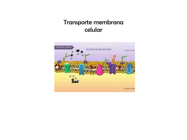 transporte membrana celular