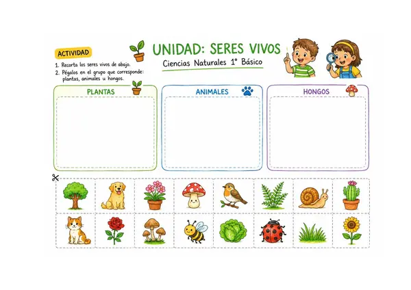 Actividades  ciencias naturales 1° básico