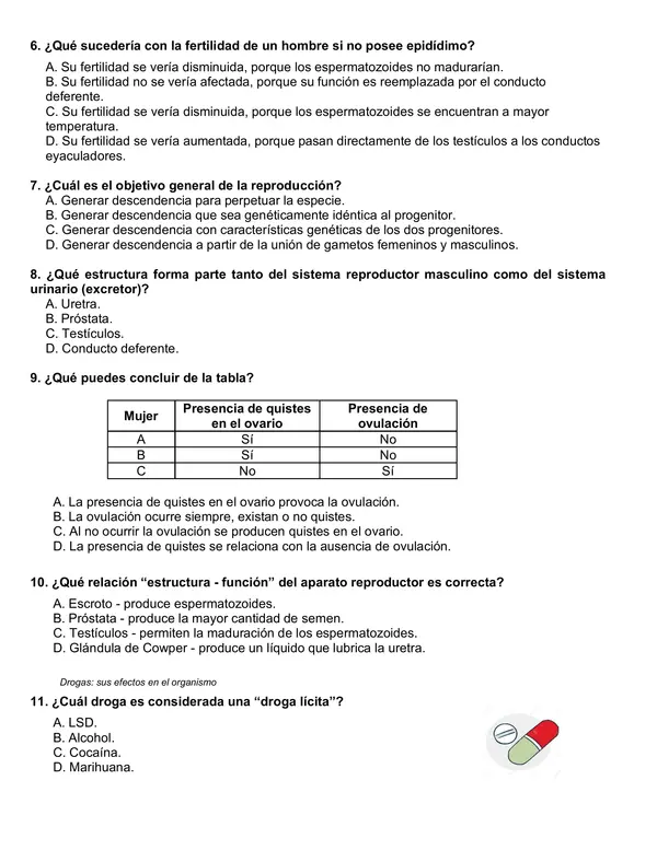Evaluación Sistema reproductor, Pubertad y vida saludable 6° año básico.
