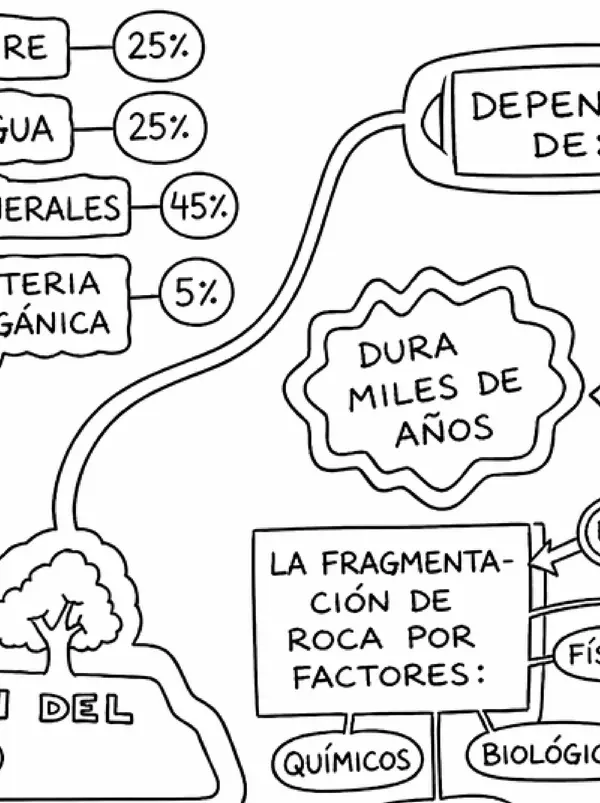 Mapa Conceptual Poster: "El suelo". 6° básico. Ciencias Unidad 1