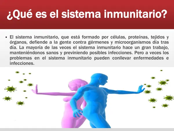 PPT - El sistema inmune 