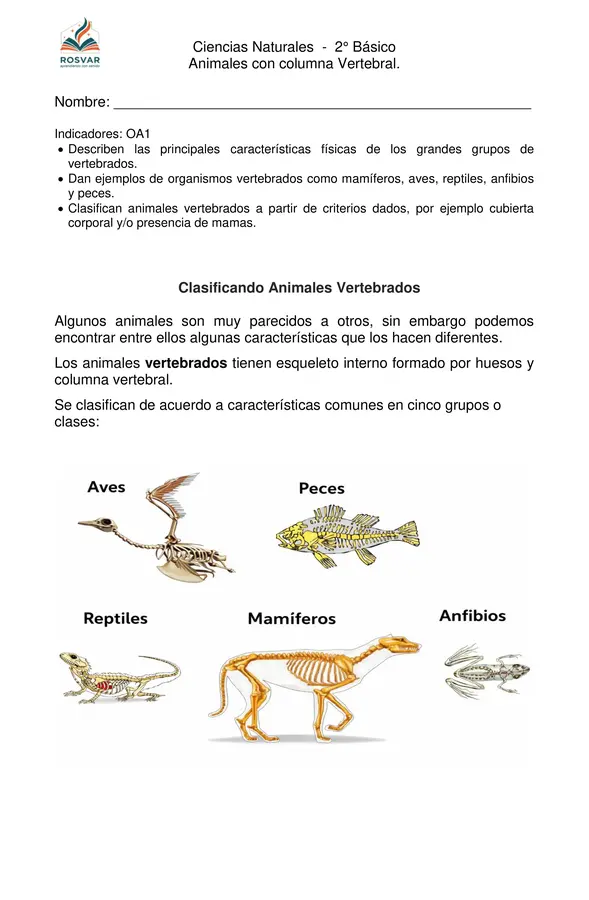 Animales con columna vertebral - 2° Básico - OA1