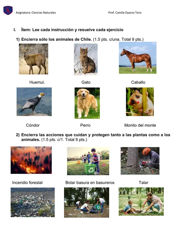 Prueba de ciencias "los animales y sus características" 1ro básico