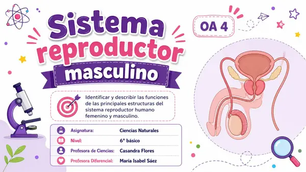 Clase Sistema Reproductor Masculino