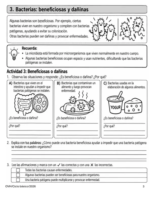 Guía Ciencias Naturales 5° Básico | Microorganismos, Bacterias, Virus, Hongos e Higiene