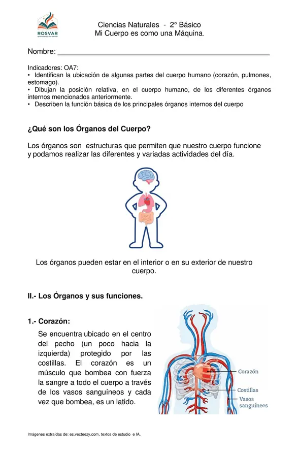 "Órganos del cuerpo Humano"  2° Básico