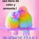 Parra aponte - @yoisy.parra