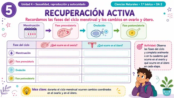 7MO OA 2 - CICLO MENSTRUAL Y HORMONAS