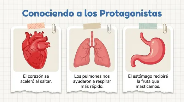 Clase 4 Lección 1 Unidad 1 "Cuidemos nuestro cuerpo" - 2° Básico