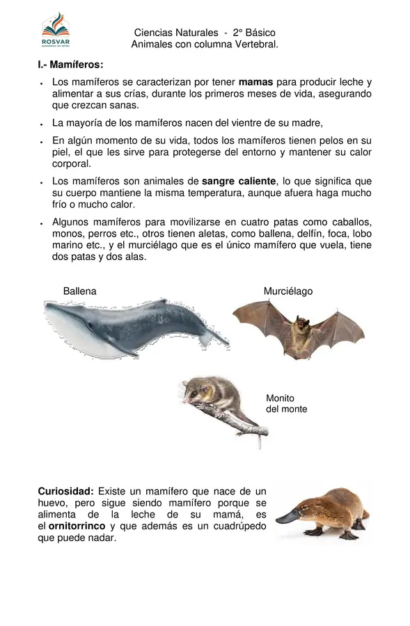 Animales con columna vertebral - 2° Básico - OA1