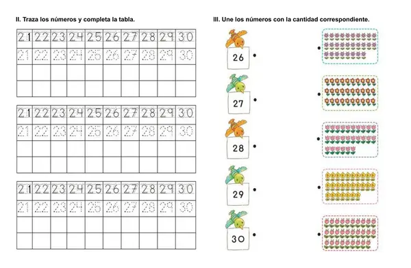 Números hasta el 30