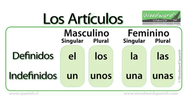 Los artículos