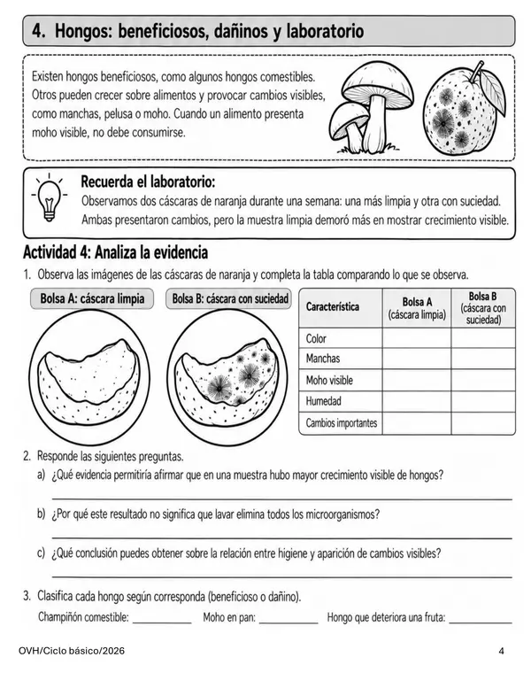 Guía Ciencias Naturales 5° Básico | Microorganismos, Bacterias, Virus, Hongos e Higiene
